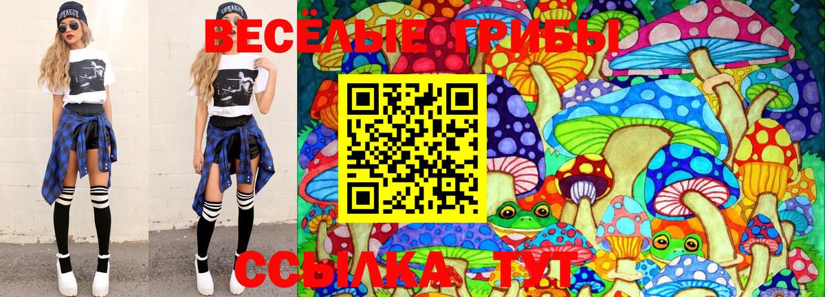 Галлюциногенные грибы GOLDEN TEACHER  Вход с VPN  Реж 