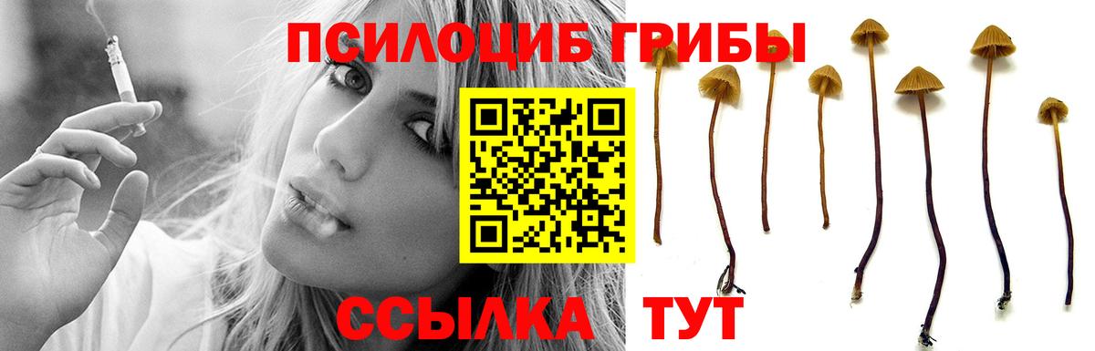 Псилоцибиновые грибы ЛСД Реж